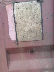 I (1)